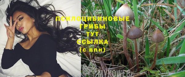 MDMA Premium VHQ Абинск