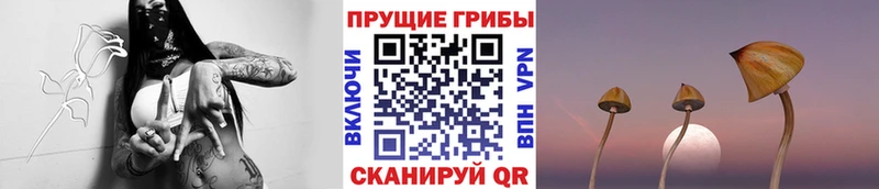 Псилоцибиновые грибы GOLDEN TEACHER  Ялуторовск 